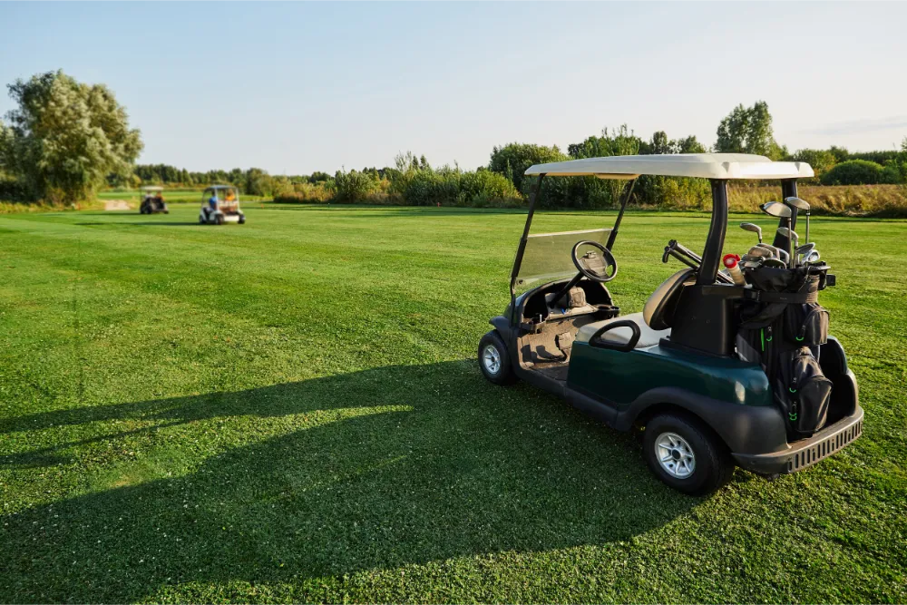 Best Plastic Cleaner for Golf Carts.